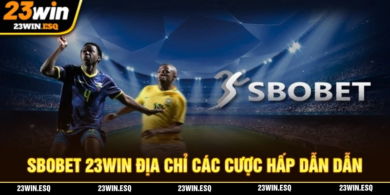 SBOBET 23WIN là địa chỉ cá cược thể thao đầy hấp dẫn